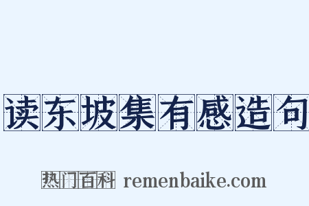 读东坡集有感造句是什么意思的图片